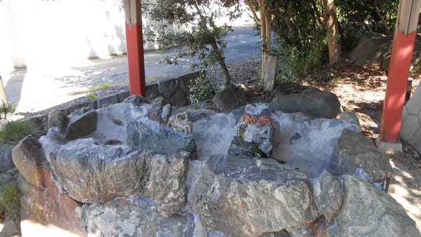 【愛知・知多半島】尾張多賀神社でオガタマノキに癒され快眠神社浴！