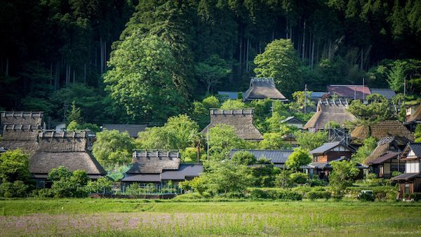 京都発の創作シュートリュフ「幸せの真珠」のクラウドファンディングがスタート！