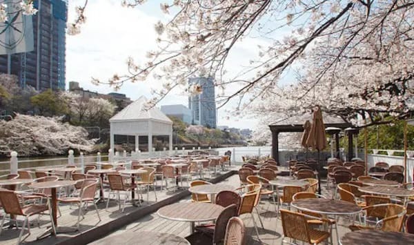 【関東ver】桜の季節に出かけたい！お花見できるおしゃれカフェ6選