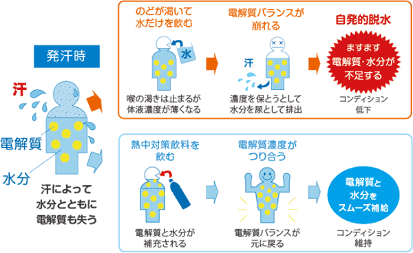 人気のロングセラー「塩熱サプリ」に、手軽な“ソーダ味・24粒入り”が新登場