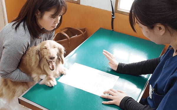 【動物看護師監修】犬の爪切りの方法と成功の秘訣！嫌がる愛犬は日頃のケアで解決