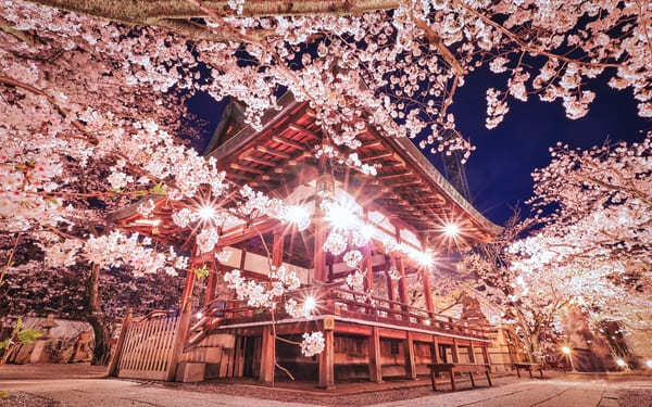 神社にお参りしてはいけない日はいつ？参拝にお勧めの日を解説！