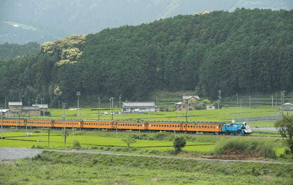 お茶の香り漂う静岡県大井川鐵道にきかんしゃトーマス号がやってきた！