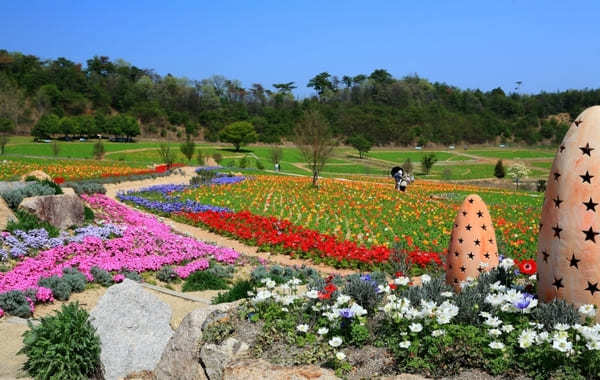 全国のおすすめ花畑85選！一面に絶景が広がる花の名所ガイド