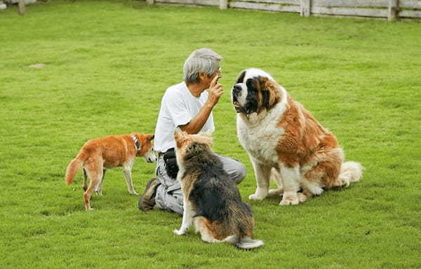 人と動物のより良い出会いと暮らしのために。