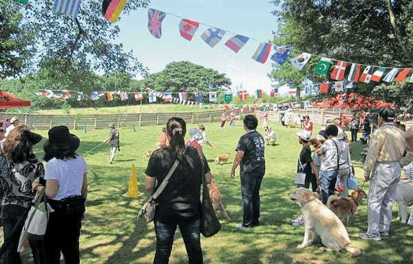 【獣医師監修】人と動物の幸せな出会いと暮らしのために