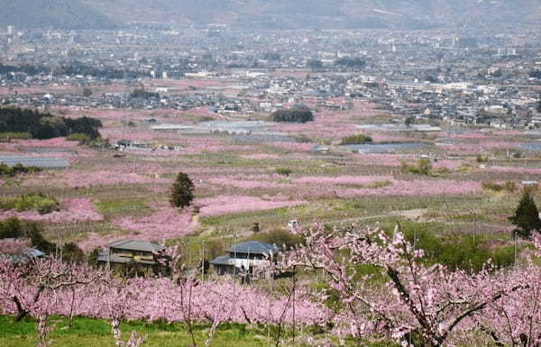 【2022】4月の国内おすすめ旅行先25選！春休み・GW旅行にもぴったりな観光地特集1.jpg