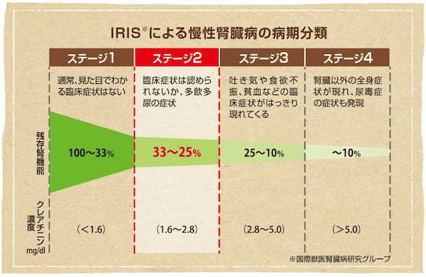 高齢猫にしのび寄る慢性腎臓病ってどんな病気？