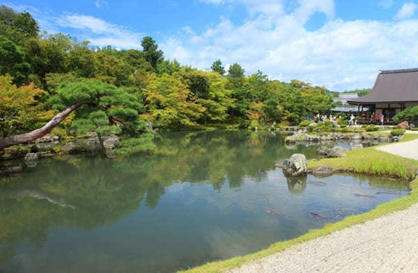 京都でおすすめの寺・神社49選！観光客に人気＆世界遺産の寺社リスト