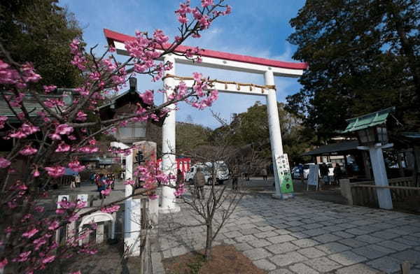 神奈川の人気の神社・お寺TOP20！旅行好きが行っている寺社ランキング1.jpg