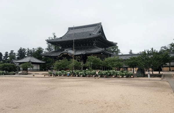 【三重】巨大な建築物に圧倒！夏の蓮も美しい「高田本山専修寺」1.jpg