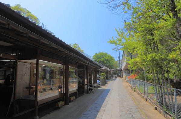 【香川】高松の夜景を一望「屋島」の魅力を紹介！1.jpg