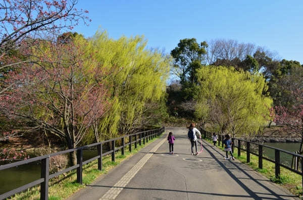 子どもと行きたい横浜のおすすめ公園22選！大型遊具・ロング滑り台など設備充実の公園特集