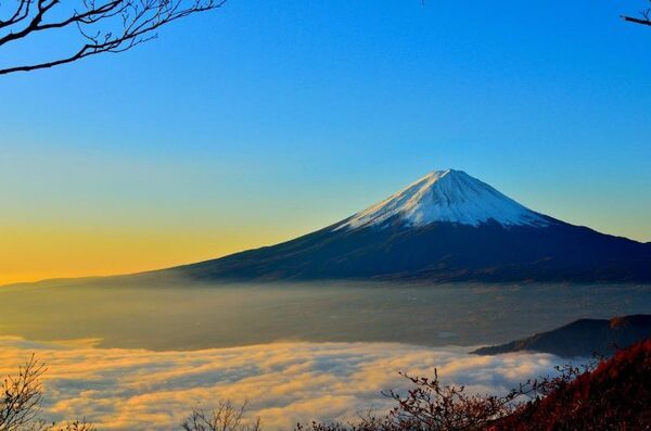 年賀状で使える英語の文例集。定番〜フレーズまで新年を飾るお祝いの挨拶って？