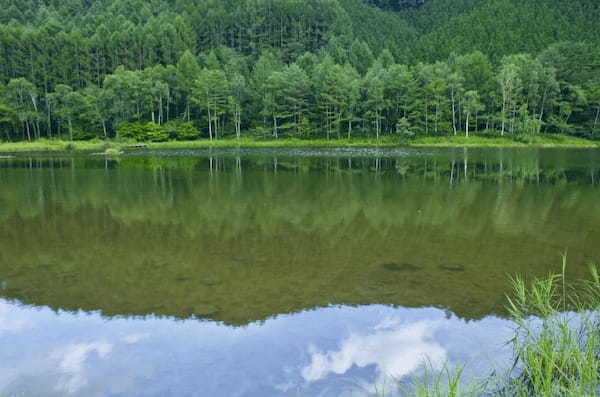 信州やぶはら高原【こだまの森】で一日中遊ぼう！（長野）1.jpg