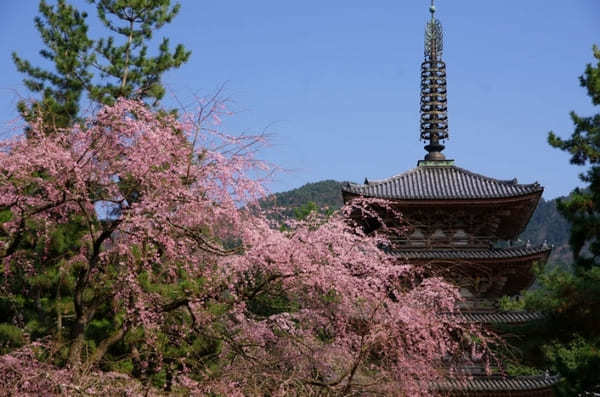 京都でおすすめの寺・神社49選！観光客に人気＆世界遺産の寺社リスト