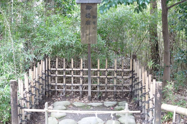 日本でここだけ！天皇創建の神社【鎌倉宮】で厄除け＆鳥居ウォッチング