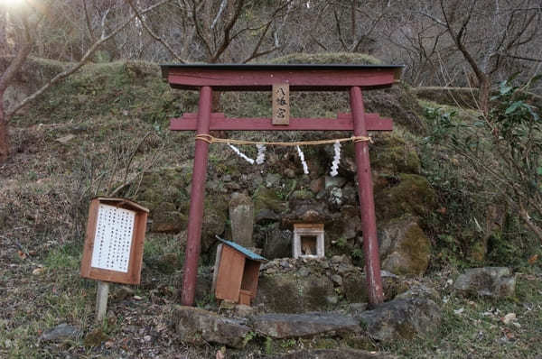 【群馬・あぶた福寿草の里】紅梅と福寿草が楽しめる！周辺オススメ散策スポットも