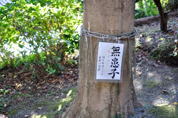 鎌倉の恋の神様にご縁を願おう「葛原岡神社」