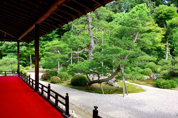 京都でおすすめの寺・神社49選！観光客に人気＆世界遺産の寺社リスト