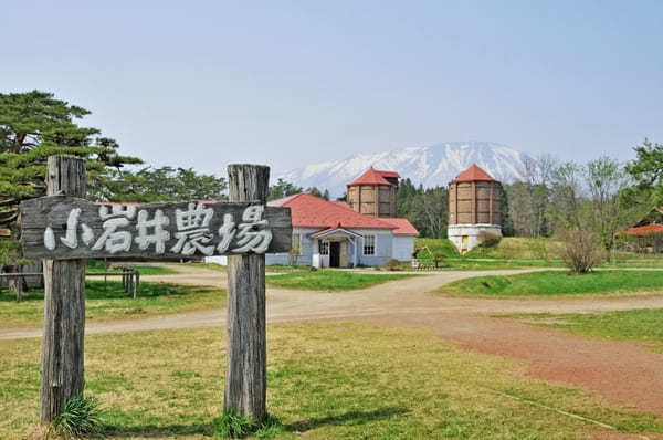 盛岡駅で買いたい【小岩井農場】のお土産17選！