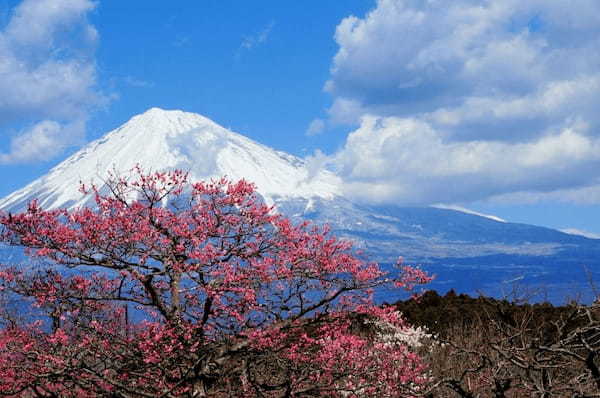 静岡・富士山の絶景スポット11選！富士山がよく見えるおすすめの場所まとめ1.jpg