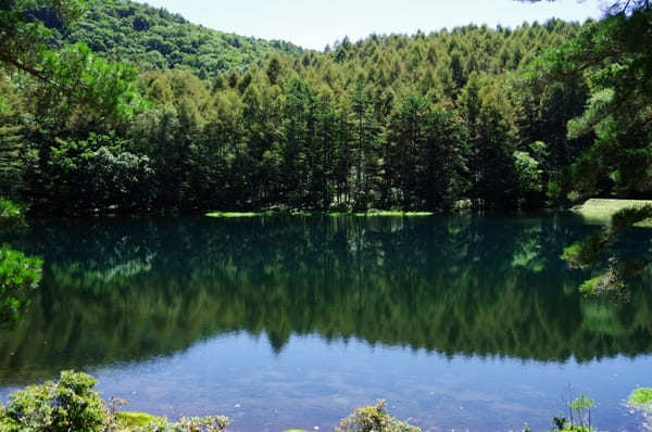 【長野県】蓼科周辺の絶景スポットとオススメご当地グルメを楽しもう！