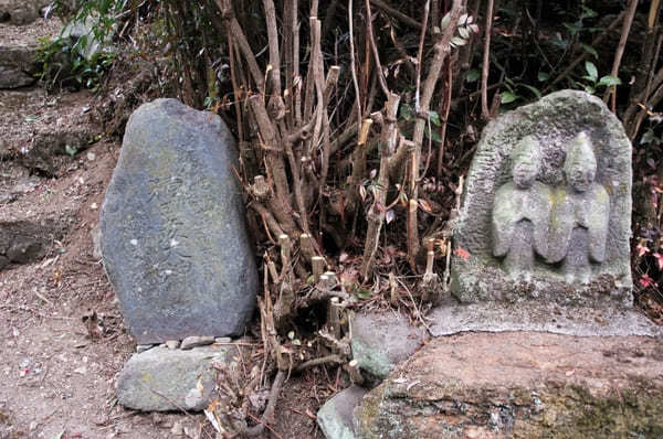 【群馬・あぶた福寿草の里】紅梅と福寿草が楽しめる！周辺オススメ散策スポットも