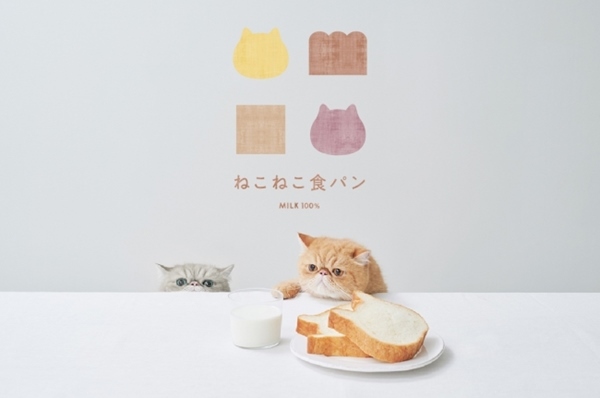 ねこねこ食パン 〜ハロウィン〜