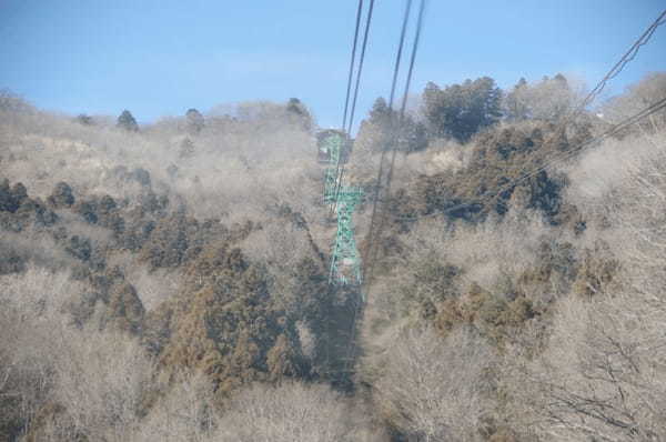 【秩父】尾ノ内氷柱と宝登山で冬ならではの観光を！ご当地グルメも味わって！1.jpg