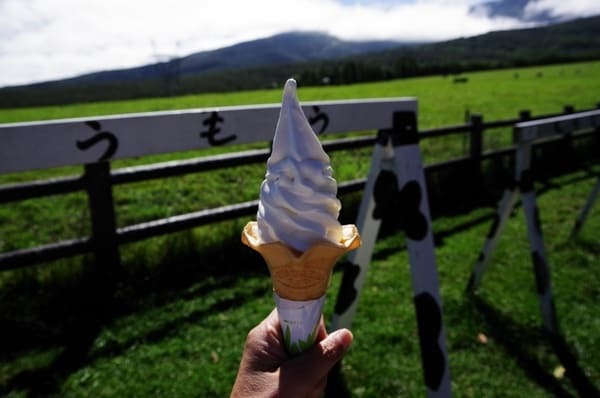 【長野県】蓼科周辺の絶景スポットとオススメご当地グルメを楽しもう！