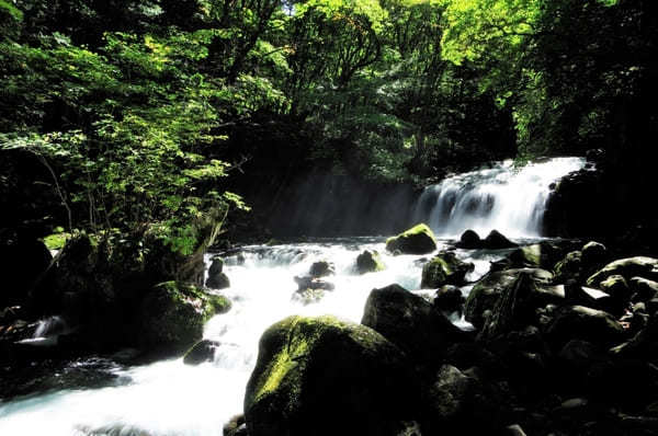 【長野県】蓼科周辺の絶景スポットとオススメご当地グルメを楽しもう！