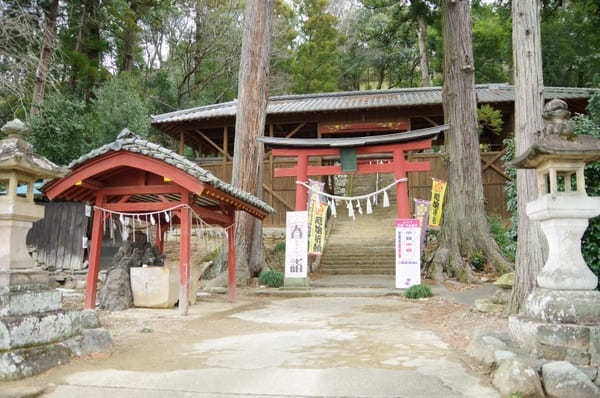 【群馬県】月替り・季節限定の御朱印が賜れるパワースポット