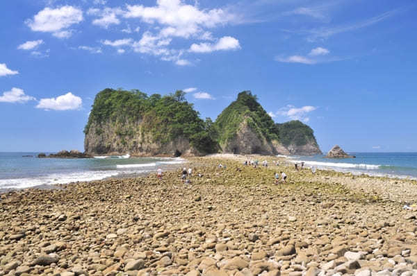 伊豆で人気！感動の絶景&グルメとパワースポットの旅