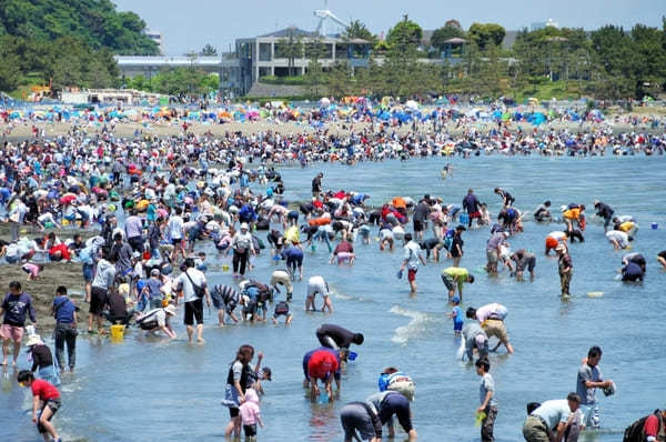 子どもと行きたい横浜のおすすめ公園22選！大型遊具・ロング滑り台など設備充実の公園特集