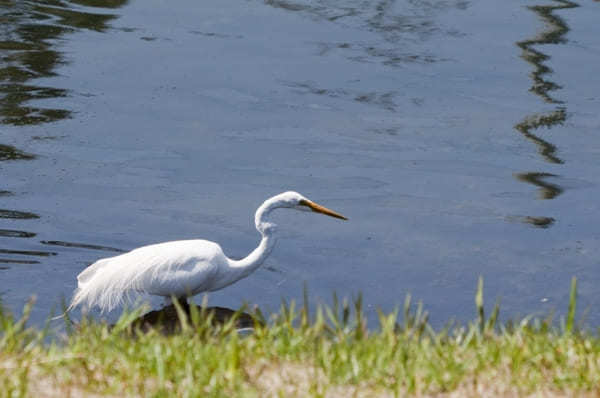 子どもと行きたい横浜のおすすめ公園22選！大型遊具・ロング滑り台など設備充実の公園特集