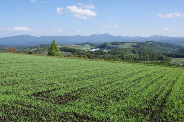 【群馬県】浅間山の噴火と愛妻の聖地で有名な嬬恋村の観光スポットとイチオシグルメ・お土産