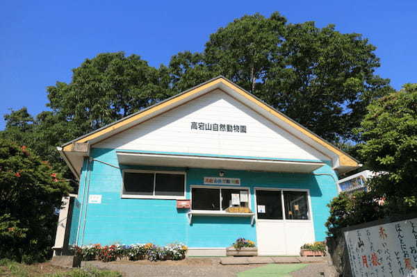 千葉のおすすめ水族館・動物園13選！愛らしさに心おどるひとときを