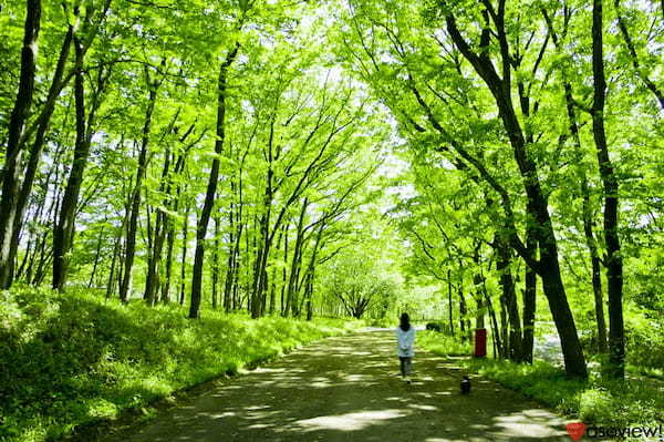 飯能 観光16選！東京から日帰りで行ける自然の魅力満載スポット