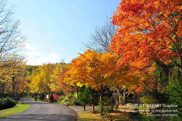 【北海道】札幌から日帰り圏内！ハズせない絶景紅葉スポット13選！