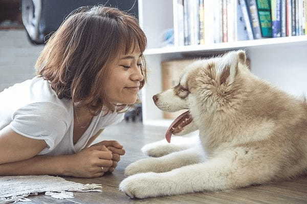 犬系女子がモテる理由は？彼女にしたいかわいい女子の特徴や行動とは