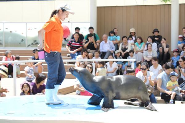 サンシャイン水族館・展望台のおすすめポイント！