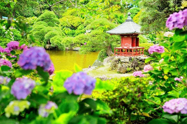 日本庭園と紫陽花が魅力！保和苑の見どころ【茨城】