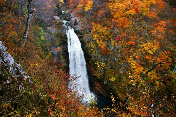 【東北】人気の滝TOP7！旅行好きが行っている滝ランキング