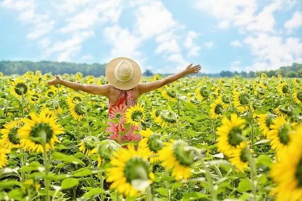 若返るためには食べ物を改善！血管年齢と若返りの関係や効果的な食べ物