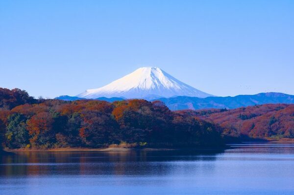 小学生におすすめの書初めの言葉10選。今年の抱負など参考になるお題をご紹介