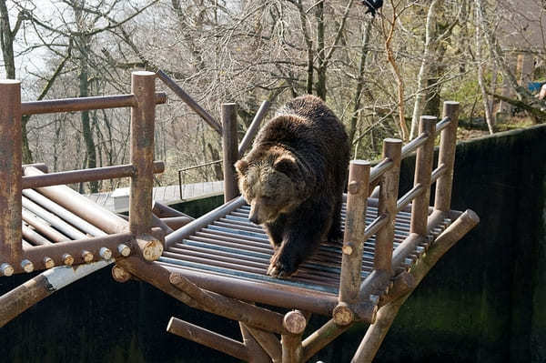 北海道のおすすめ動物園13選！動物に会える人気スポット特集