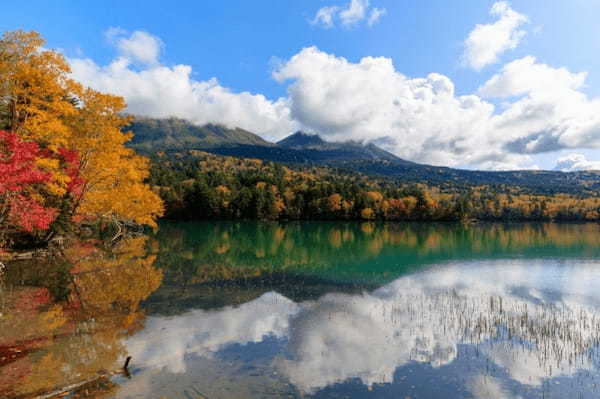 【北海道三大秘湖】の1つ！別名「五色沼」と呼ばれるオンネトーの見どころ紹介1.jpg