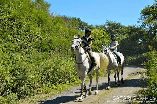 アクティブに楽しもう！【北海道】オススメ体験観光13選1.jpg