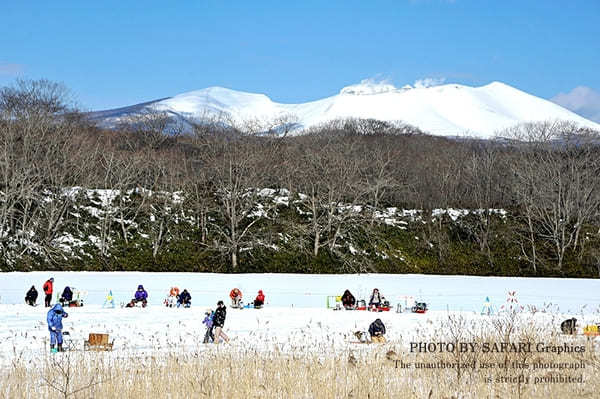 【北海道】雪を楽しむ！家族で遊ぶ！札幌から日帰りで楽しむ冬のアクティビティ5選